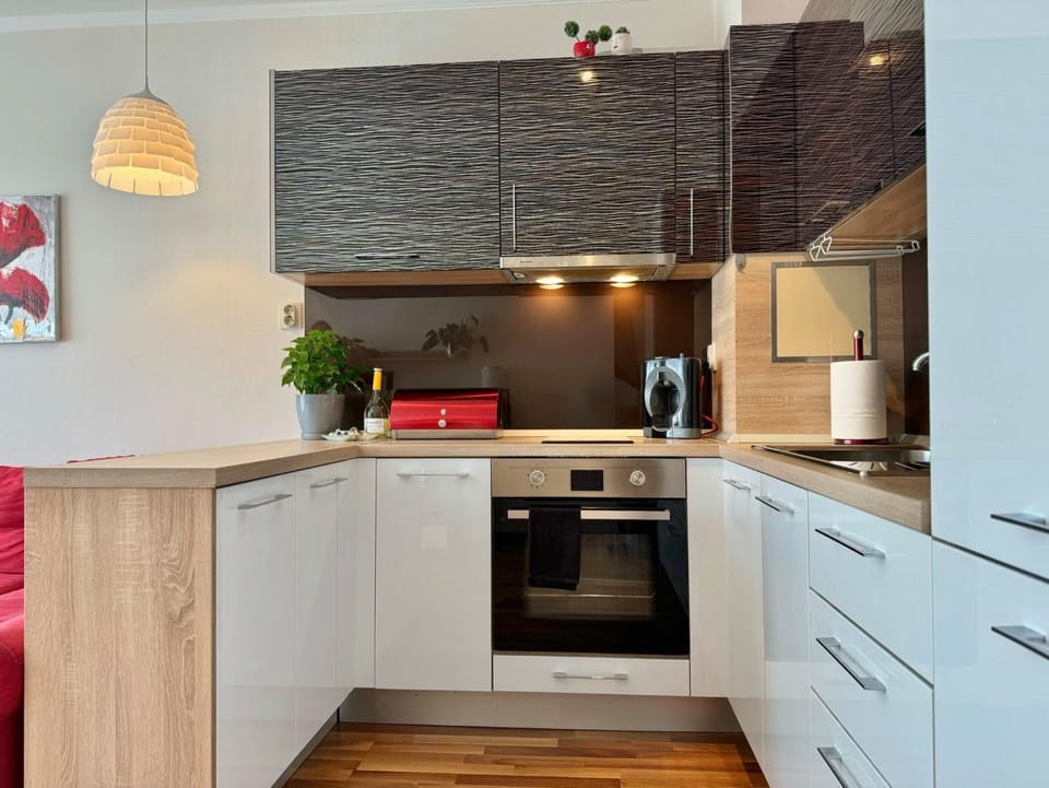 Coffee/tea facilities, Kitchen or kitchenette, oven, stove