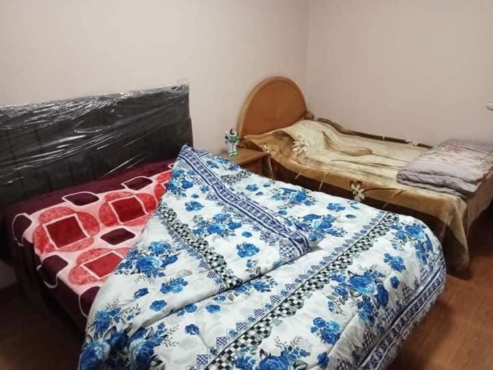 شقه مفروشه للمصيف على البحر مباشره Apartment in Alexandria