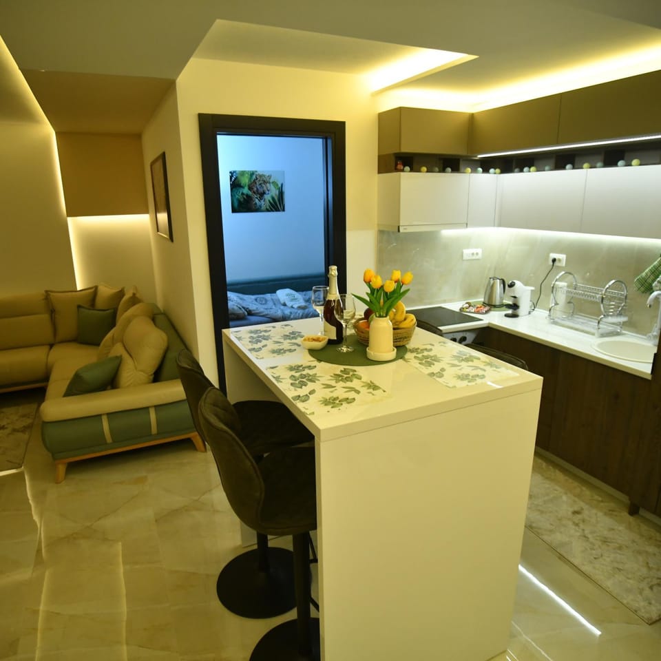 Apartman Viktor LUX Apartment in Serbia