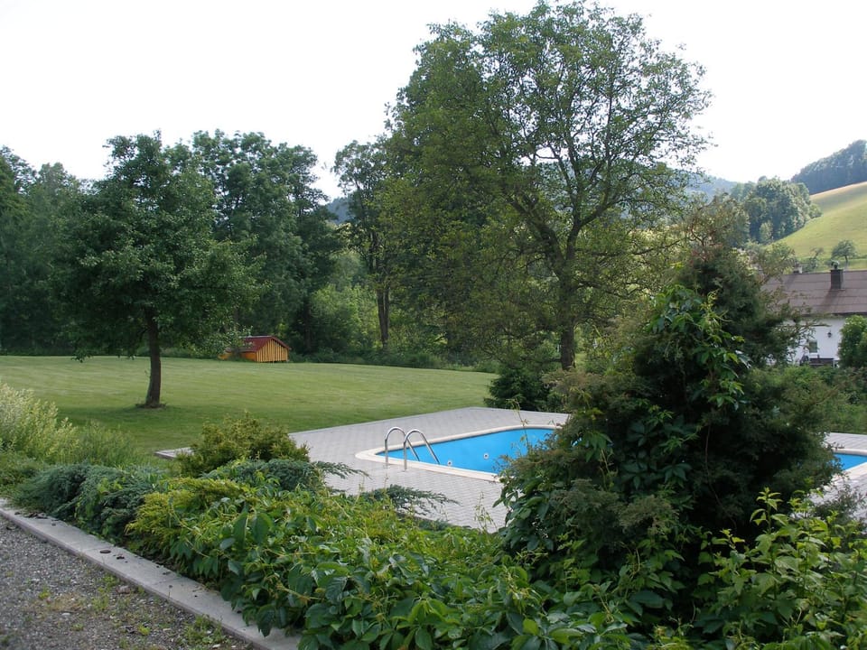 Pool view