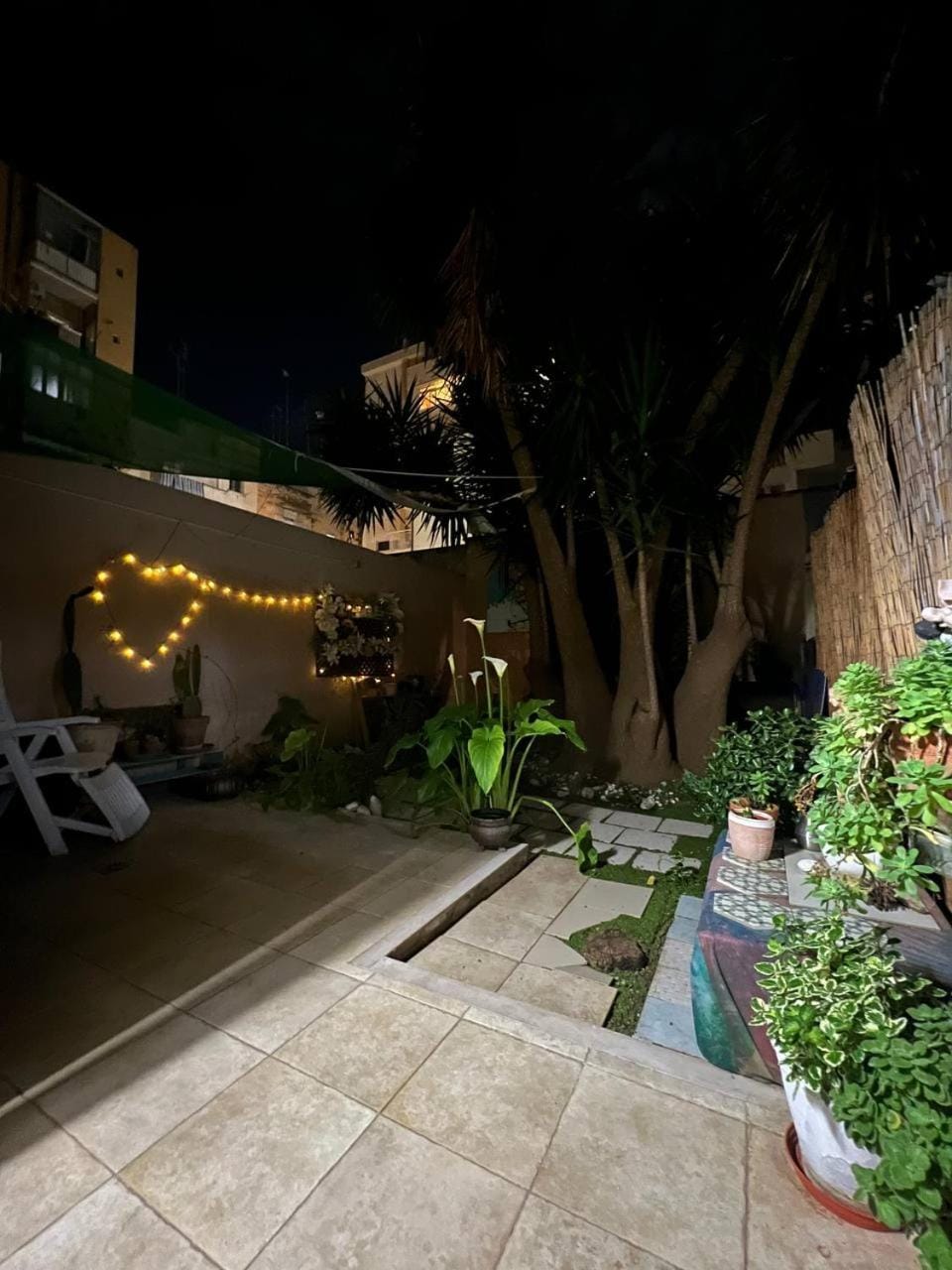 Night, Garden, Garden view