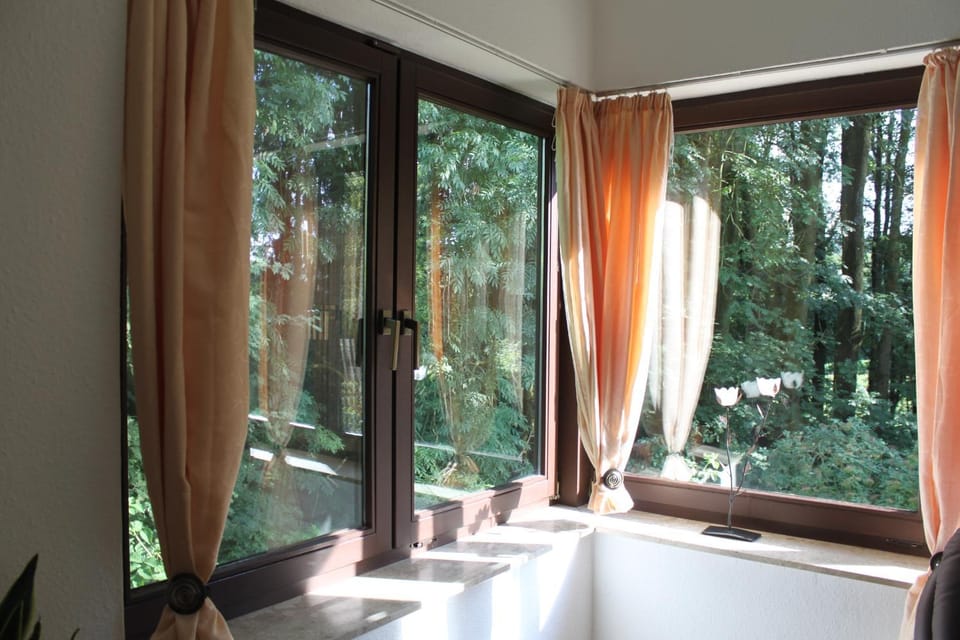 Day, Natural landscape, View (from property/room), Garden view