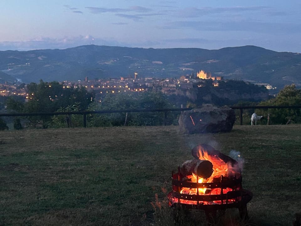 City view