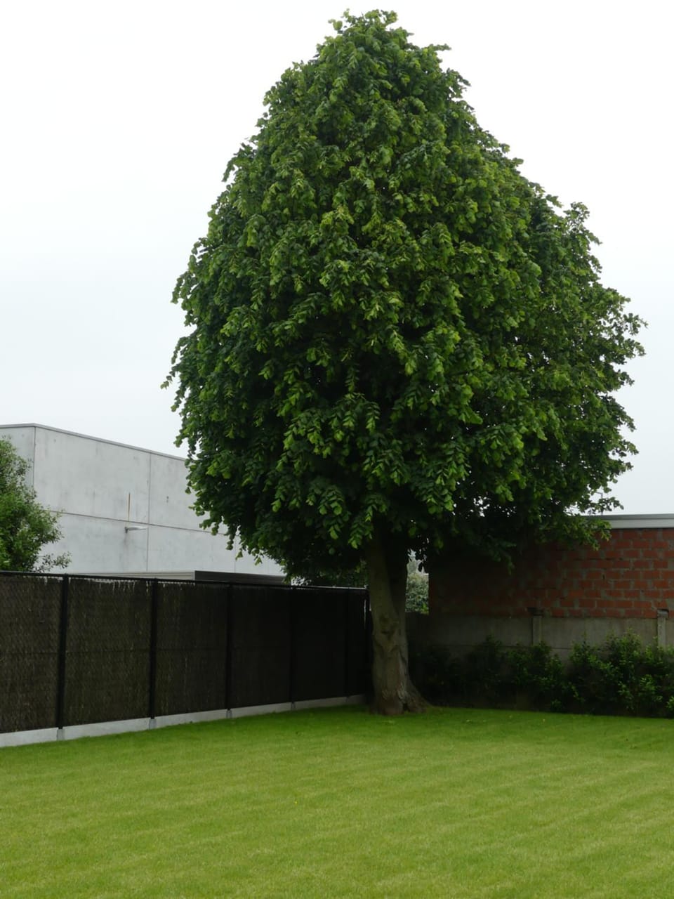 Garden, Garden view