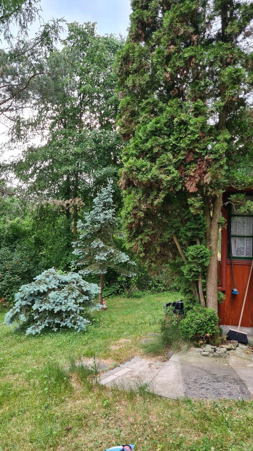 Garden, Garden, Garden view