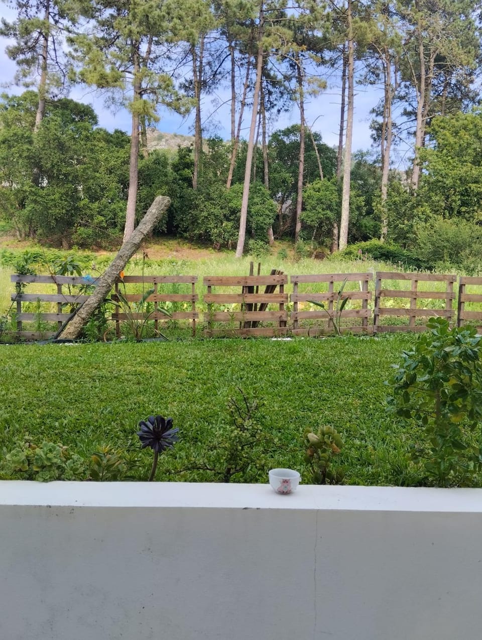 Garden, Balcony/Terrace