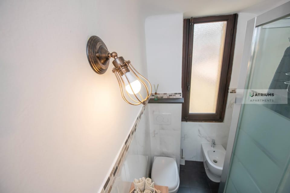 Shower, Toilet, Bathroom, bidet