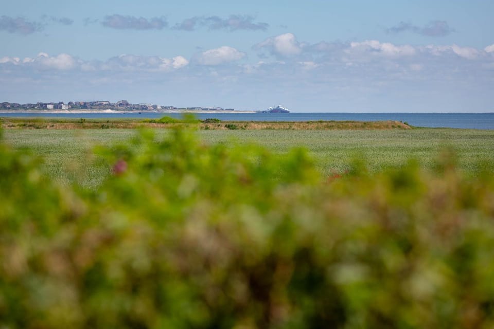 Dikstig Rechts Apartment in Nordfriesland
