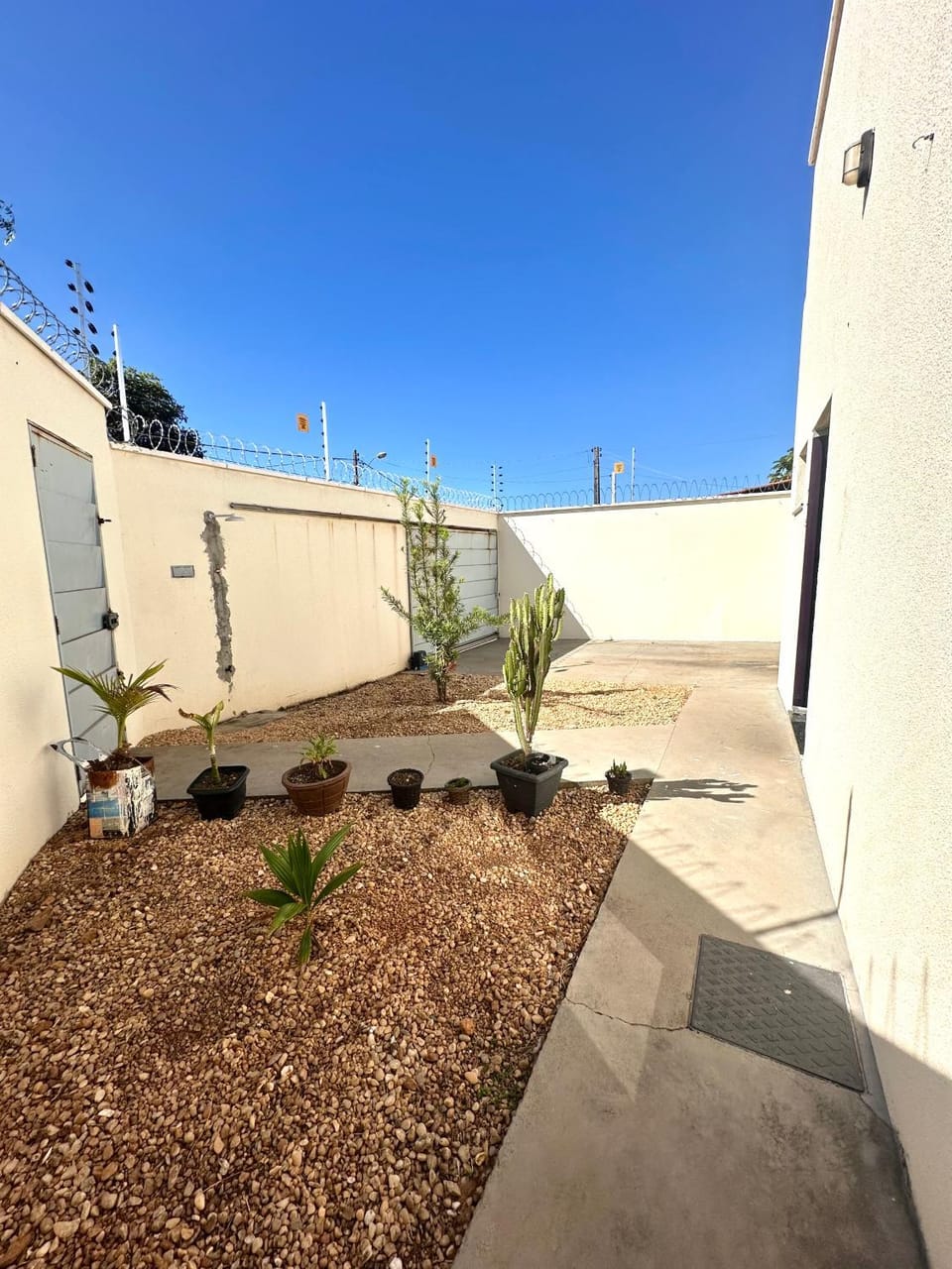 Property building, Day, Garden