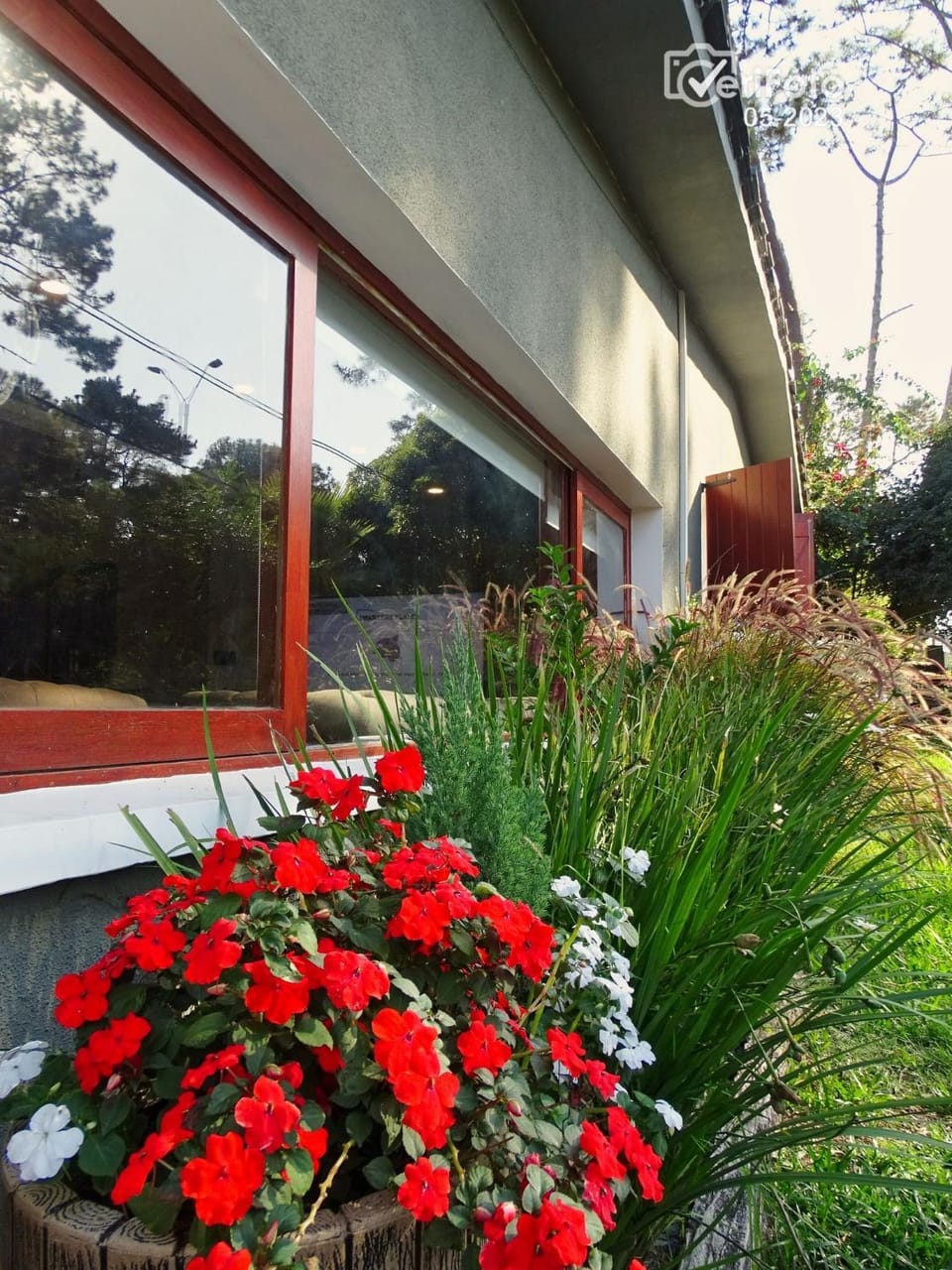 Garden, Garden view