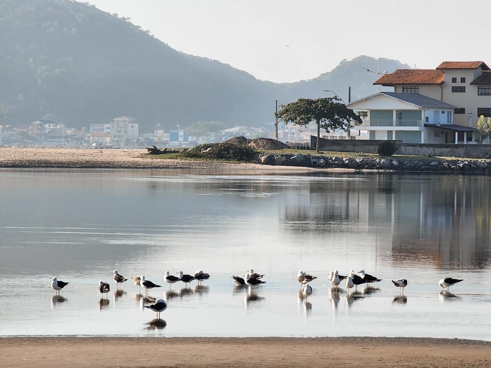Apt confortável a 350 metros do mar HA0964 Apartment in São Francisco do Sul