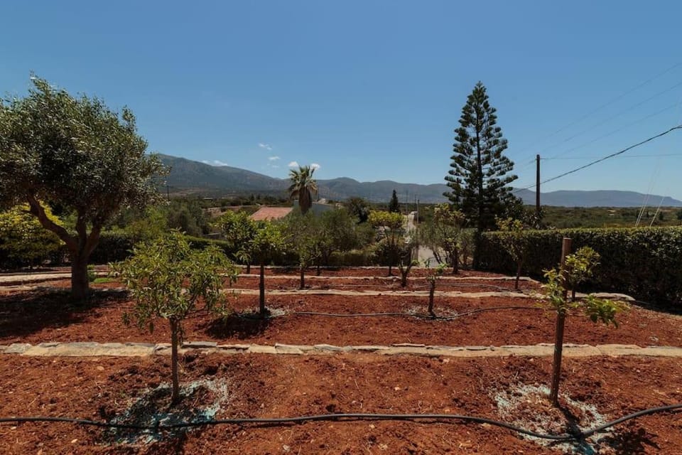Villa Santa Barbara Villa in Lasithi