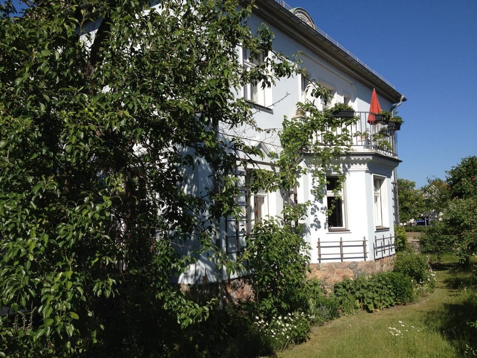 Property building, Garden