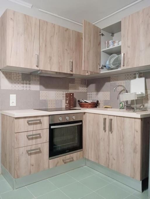 Spiros House Apartment in Ligia