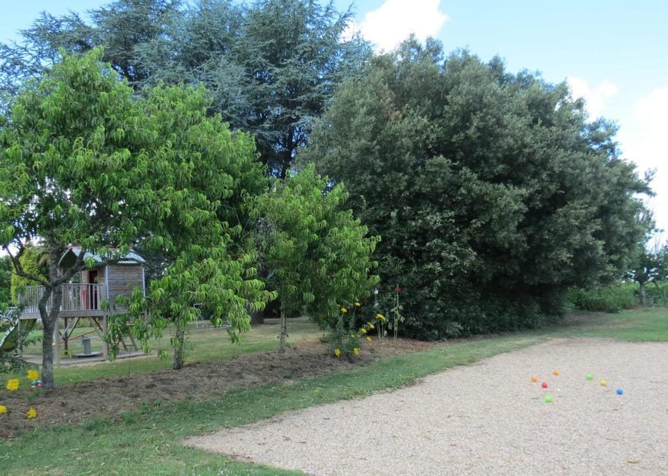 Natural landscape, Garden