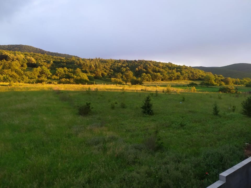 Spring, Day, Neighbourhood, Natural landscape, Mountain view