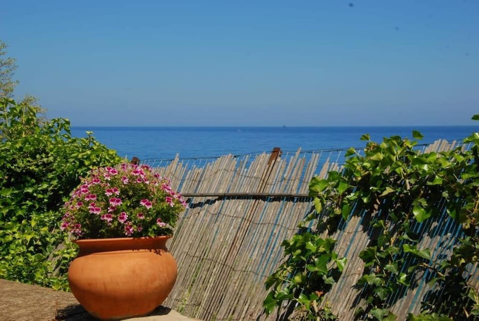 Four Seasons Spring Room Apartment in Sicily