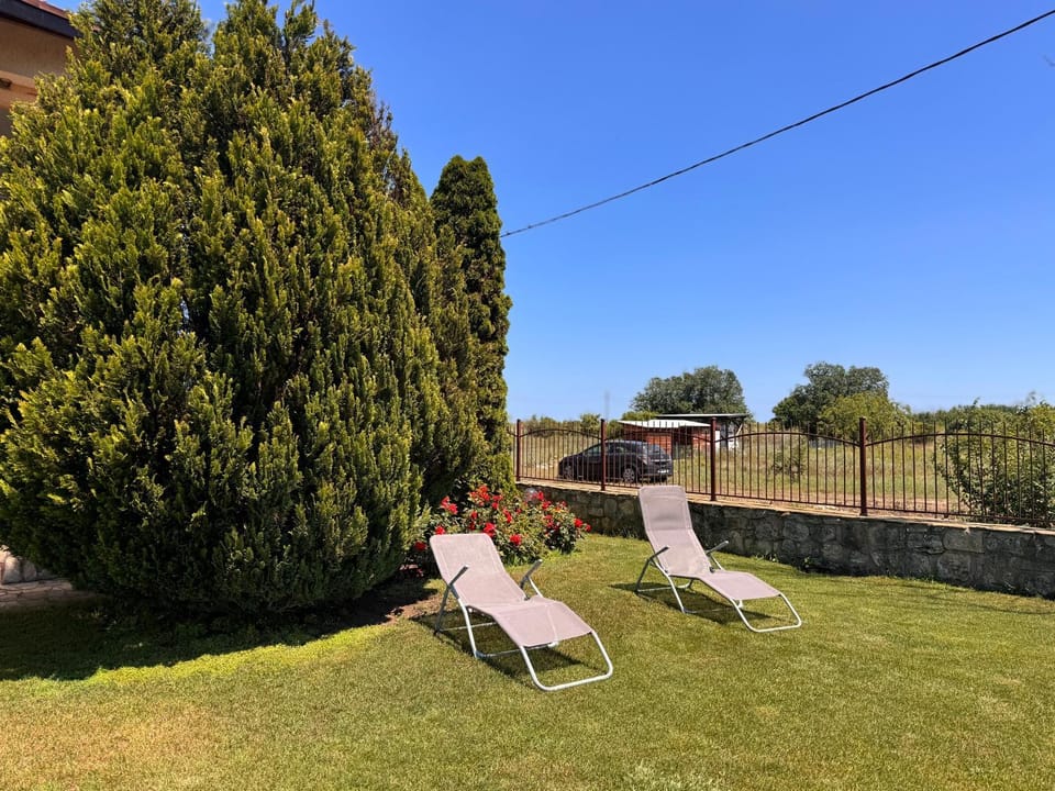 Day, Garden, sunbed