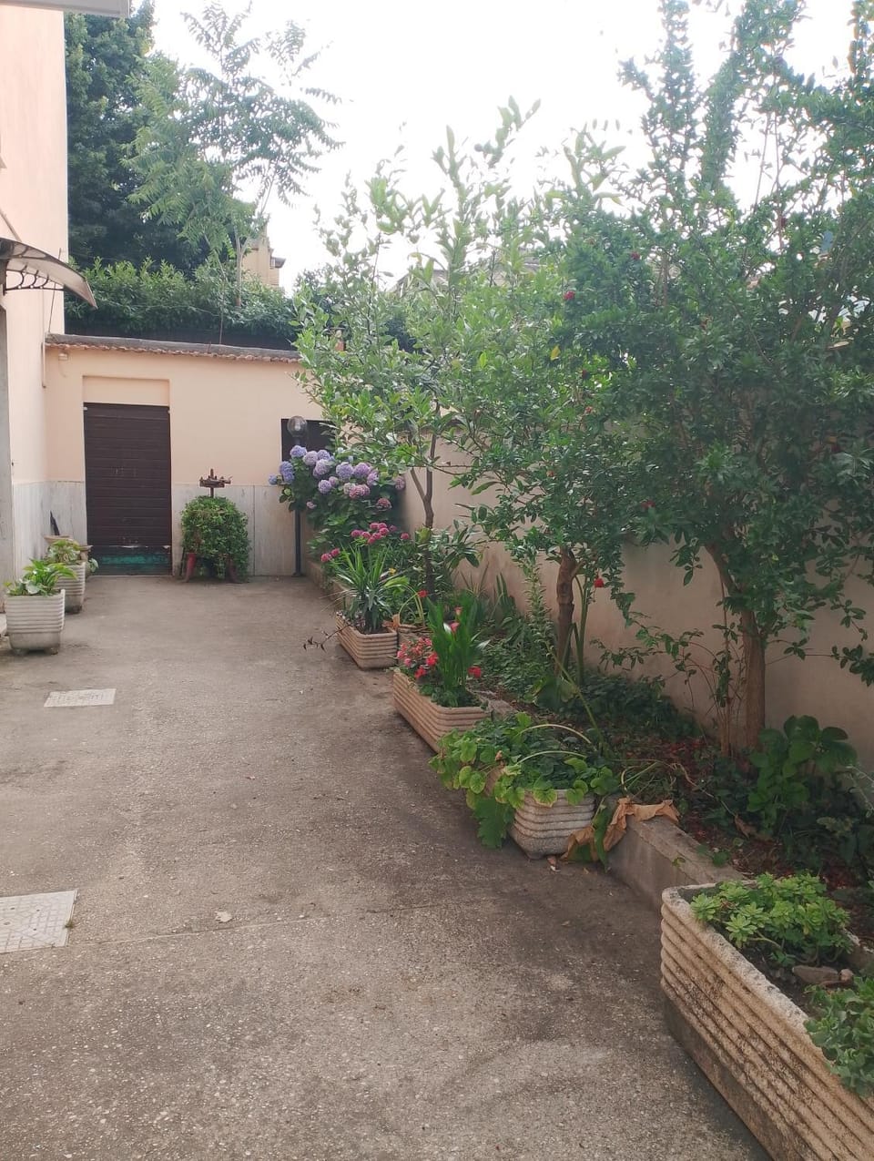 L' ortensia Apartment in Rome