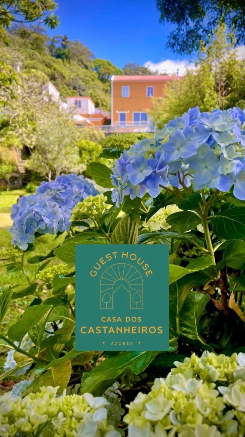 Casa dos Castanheiros Angra do Heroismo Bed and Breakfast in Azores District