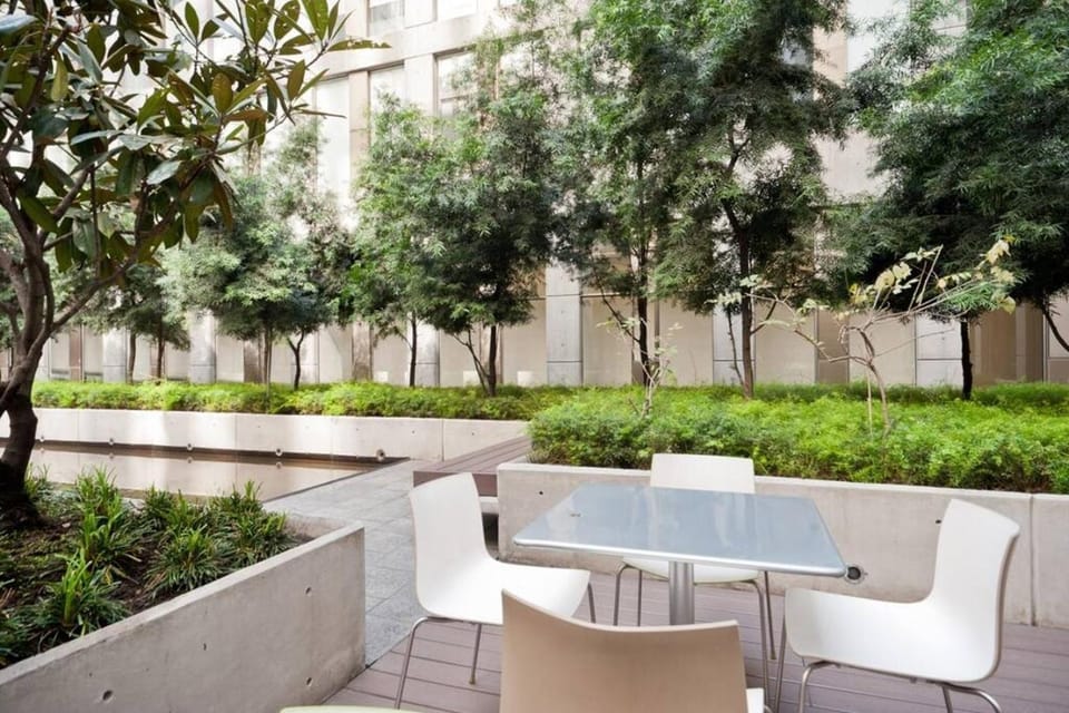 Steps to Palacio de Bellas Artes, Pool, Gym Apartment in Mexico City