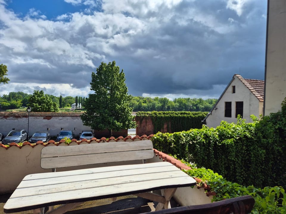 Natural landscape, Garden, Garden view