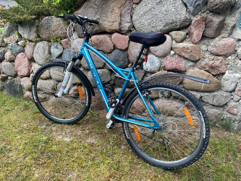 Day, Cycling