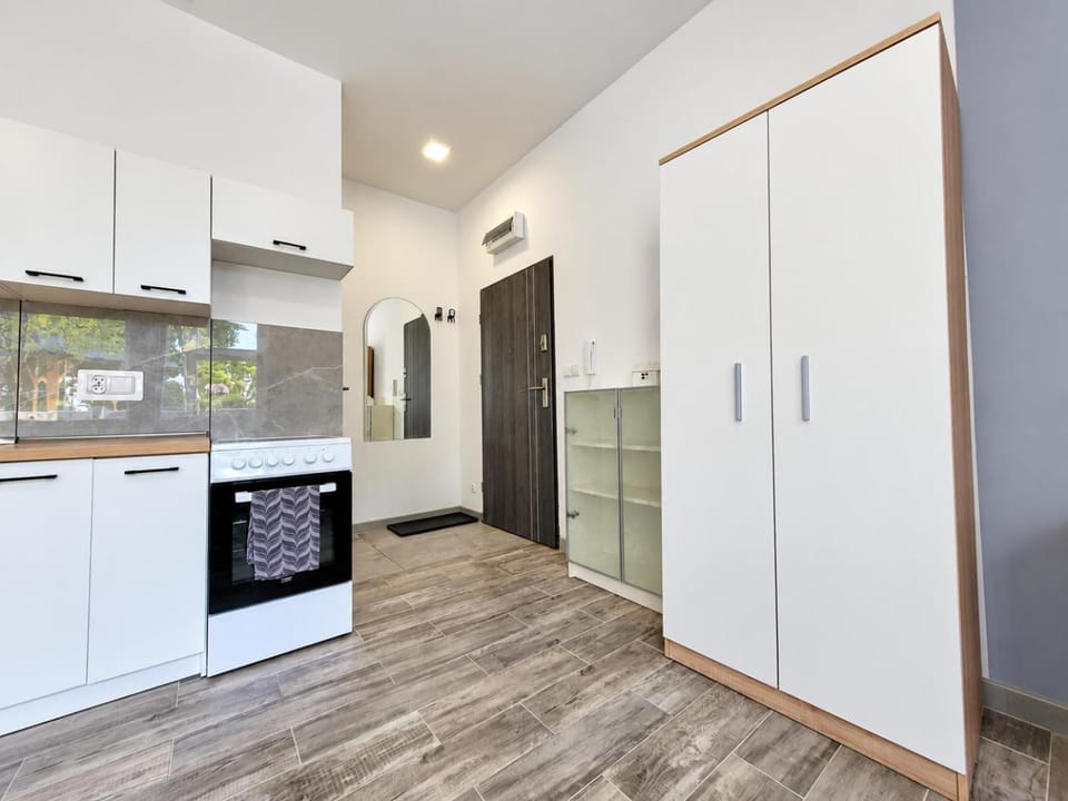 Kitchen or kitchenette, oven, stove