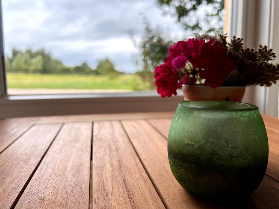 View (from property/room)