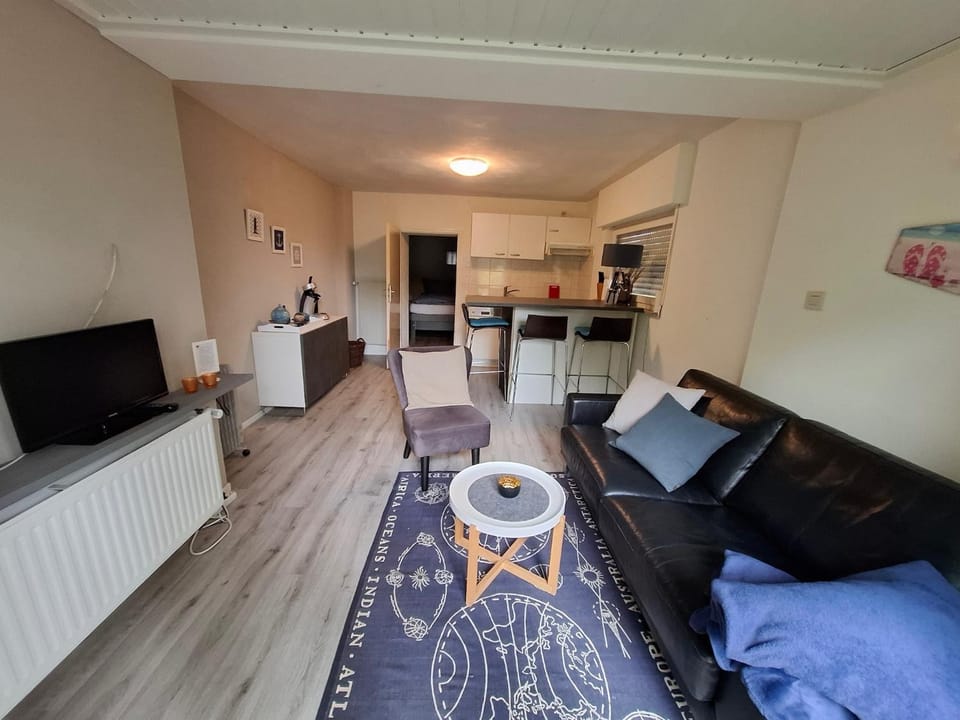 Game Room, Living room
