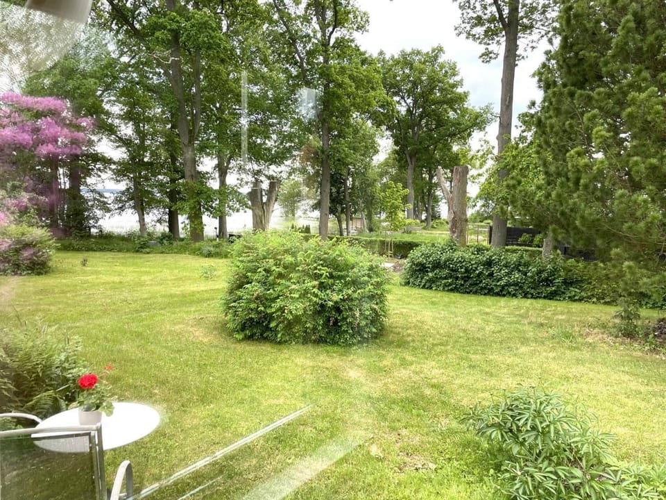 Lake view