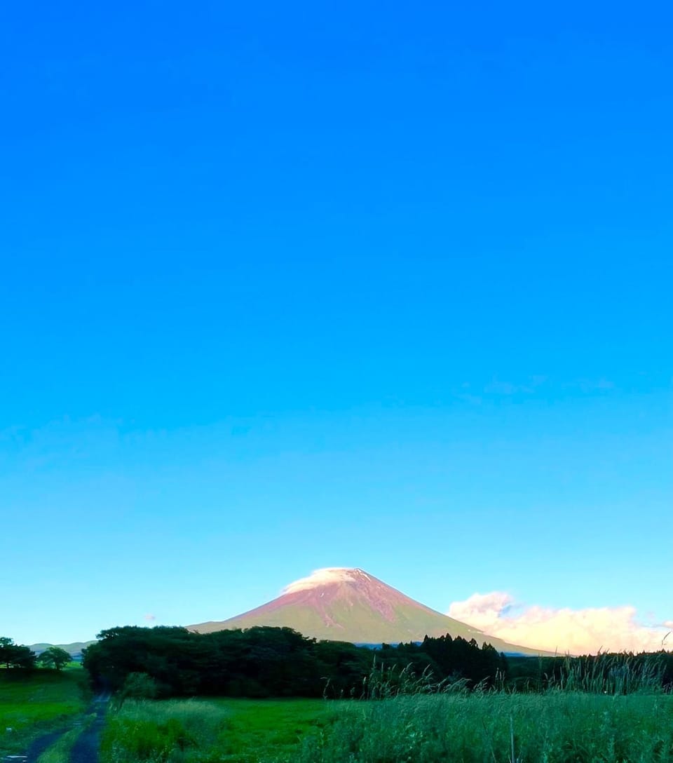 Mountain view