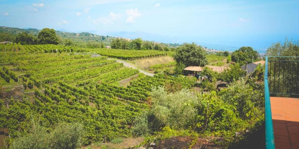 Le Case Del Merlo Turismo Rurale Farm Stay in Sicily