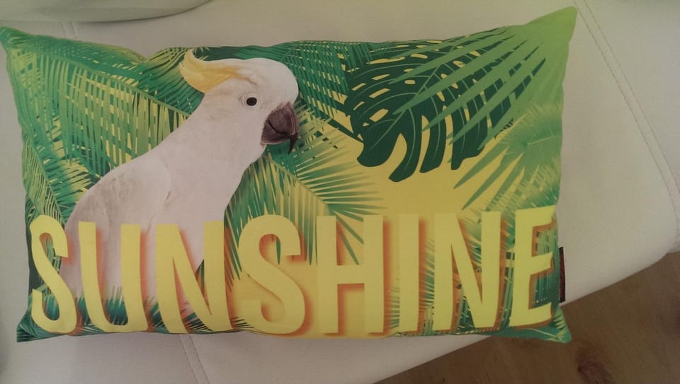 Seepark Falk Wohnungen Apartment in Freiburg