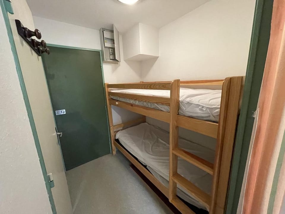 Studio cosy à Laveissière près des pistes, 2 lits superposés et lit rabattable, parfait pour l'hiver - FR-1-787-8 Apartment in Auvergne-Rhône-Alpes
