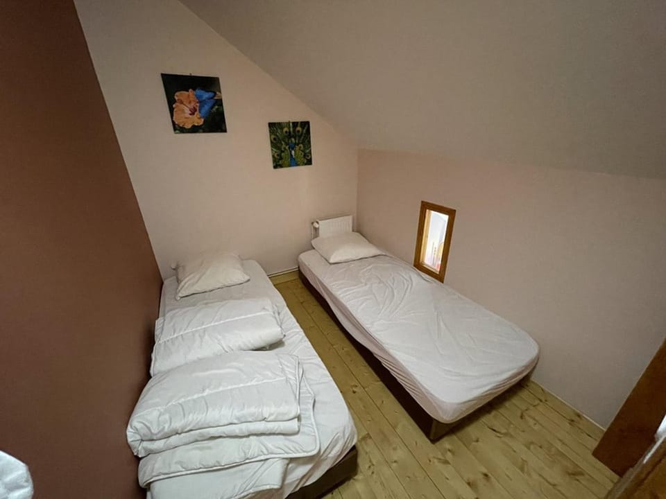 Chalet cosy 50m² avec WiFi à 300m des pistes, 2 chambres, casier à skis, proche gare et navette - FR-1-787-12 Apartment in Auvergne-Rhône-Alpes