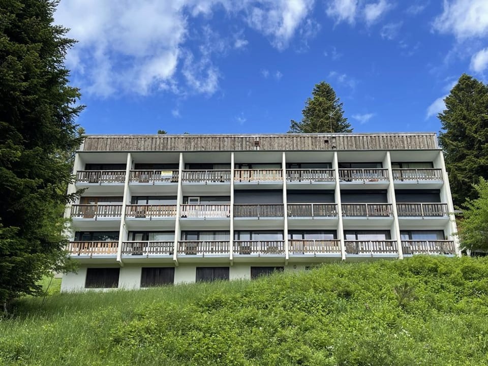 Bel appartement rénové T2 avec balcon au pied des pistes - FR-1-787-10 Apartment in Auvergne-Rhône-Alpes
