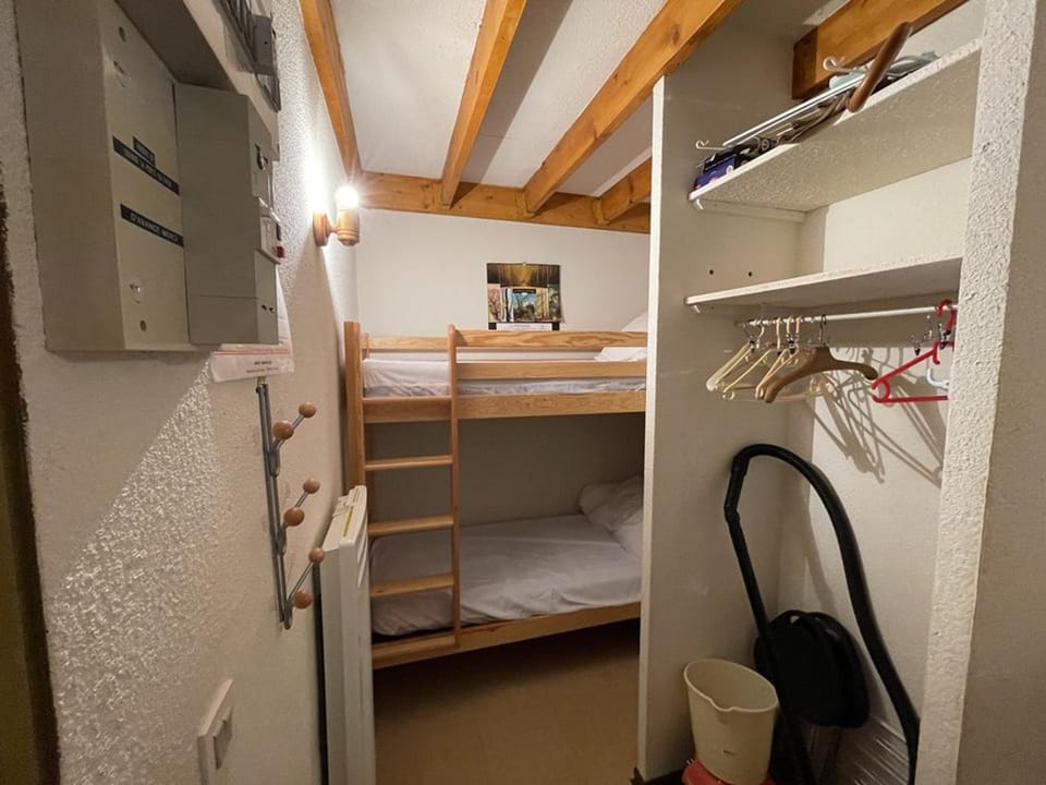 Studio cosy face aux pistes avec mezzanine et navette gratuite - FR-1-787-39 Apartment in Auvergne-Rhône-Alpes