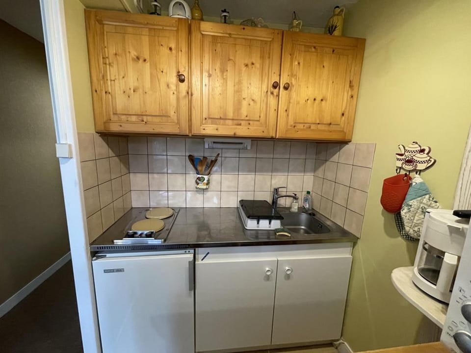 T2 cosy au cœur de Laveissière - Près des pistes, commerces et patinoire - FR-1-787-37 Apartment in Auvergne-Rhône-Alpes