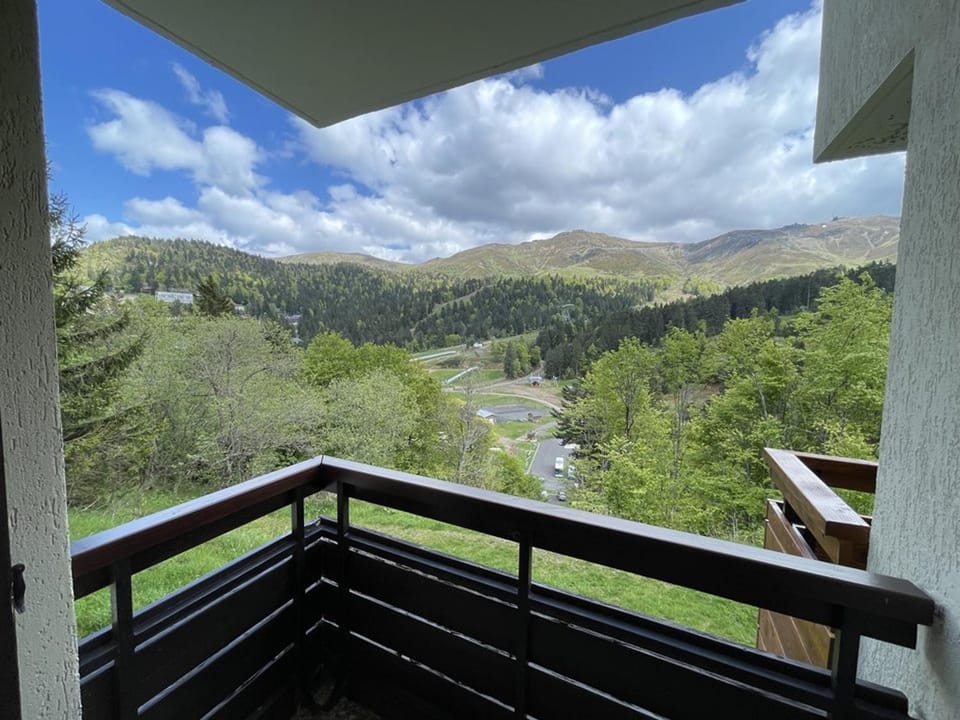 T2 cabine avec balcon, près des pistes - FR-1-787-21 Cabin in Auvergne-Rhône-Alpes