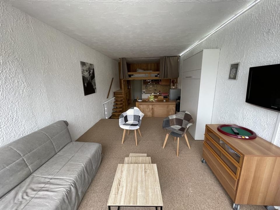 Studio spacieux 40m², pieds des pistes, wifi, équipements bébé, animaux admis, Laveissière - FR-1-787-58 Apartment in Auvergne-Rhône-Alpes