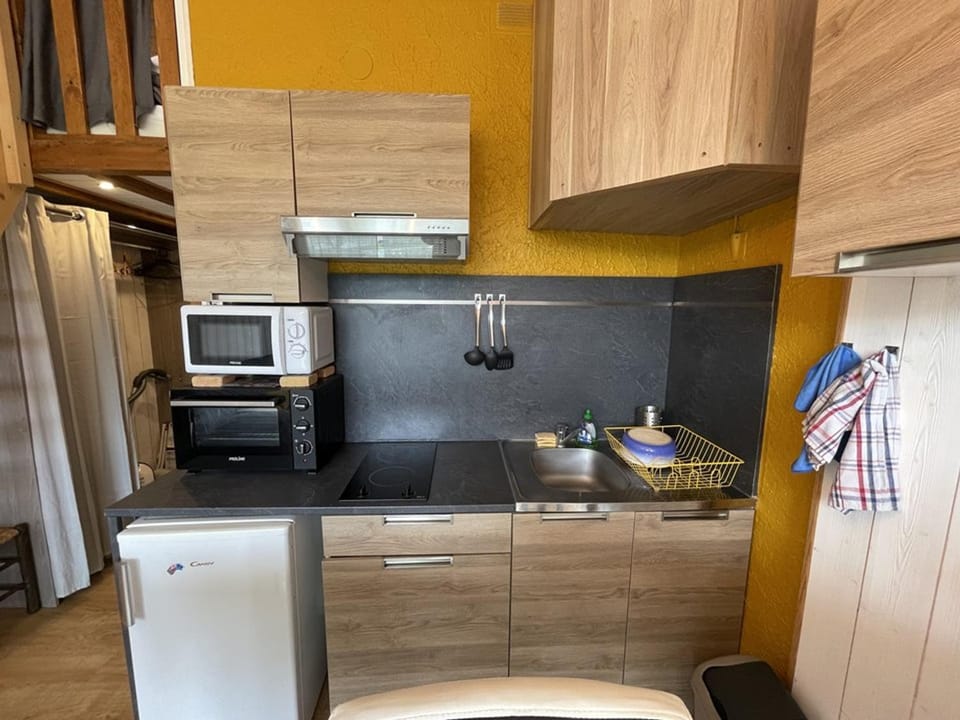 Studio rénové au pied des pistes, idéal pour 4 pers, avec WiFi, animaux acceptés, casier à skis inclus - FR-1-787-54 Apartment in Auvergne-Rhône-Alpes