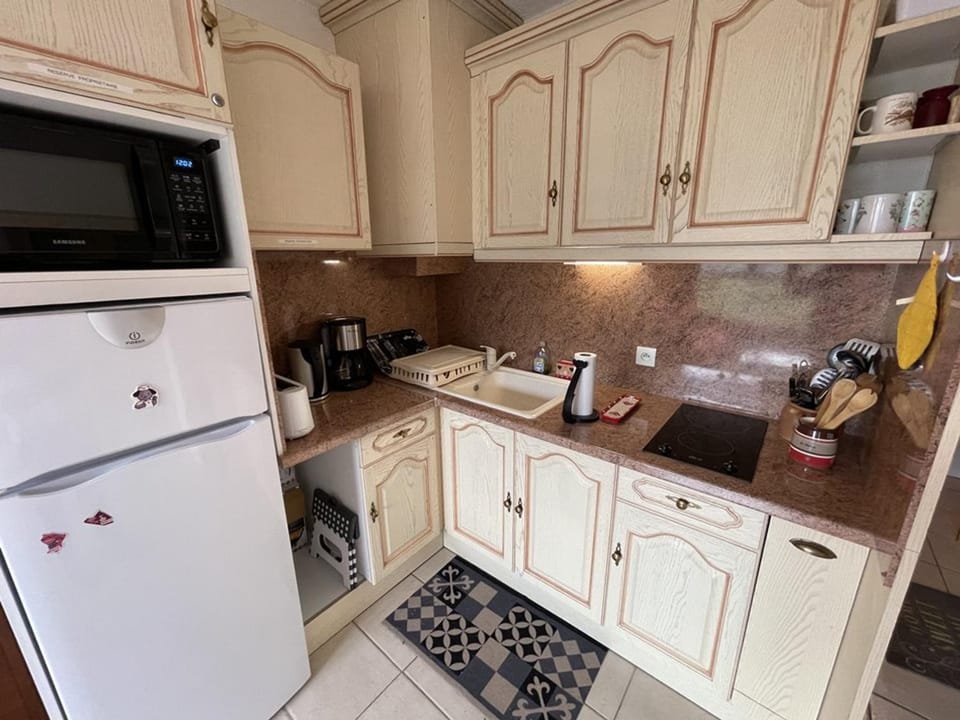 Studio 4 Pers. au Centre de la Station avec Wifi et Animaux Admis - FR-1-787-73 Apartment in Auvergne-Rhône-Alpes