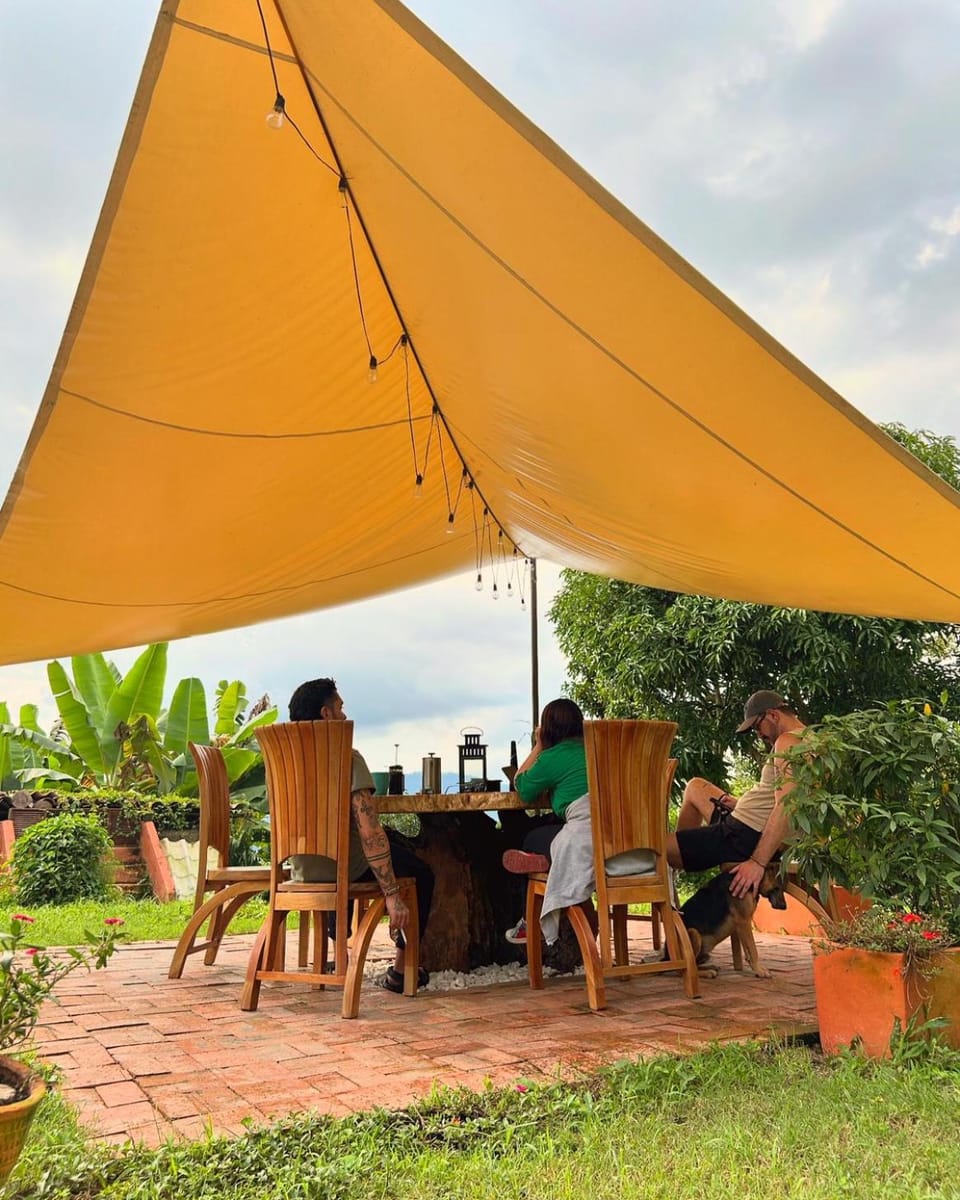 Patio, Day, Dining area