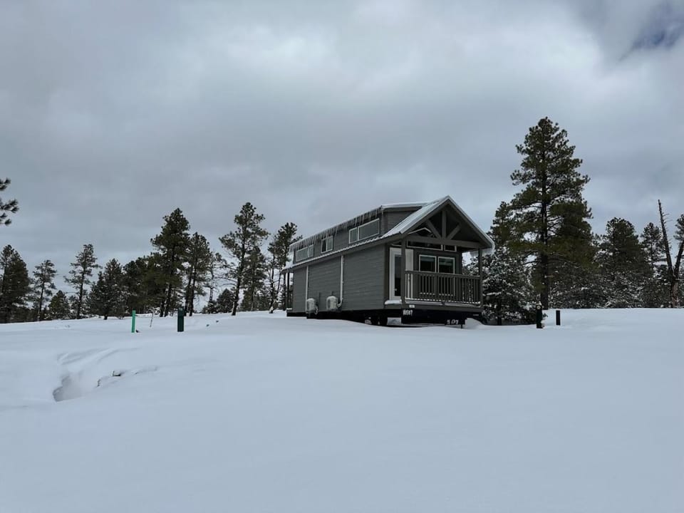 Cozy Cabin By Forest View 4B Cabin in Williams