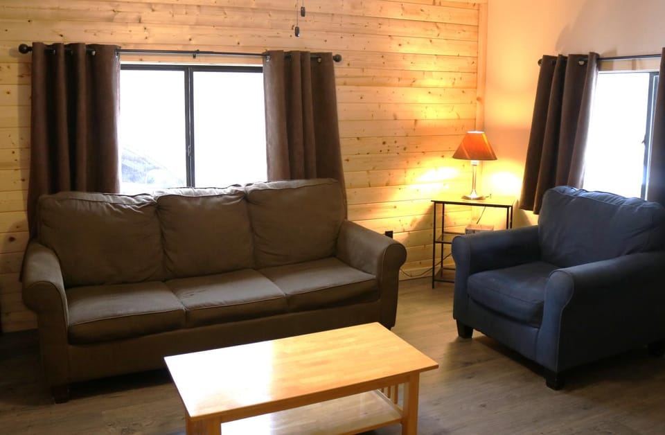 Day, Living room, Seating area, furniture