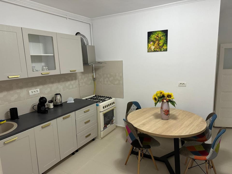 Casa Grande Apartment in Brașov County