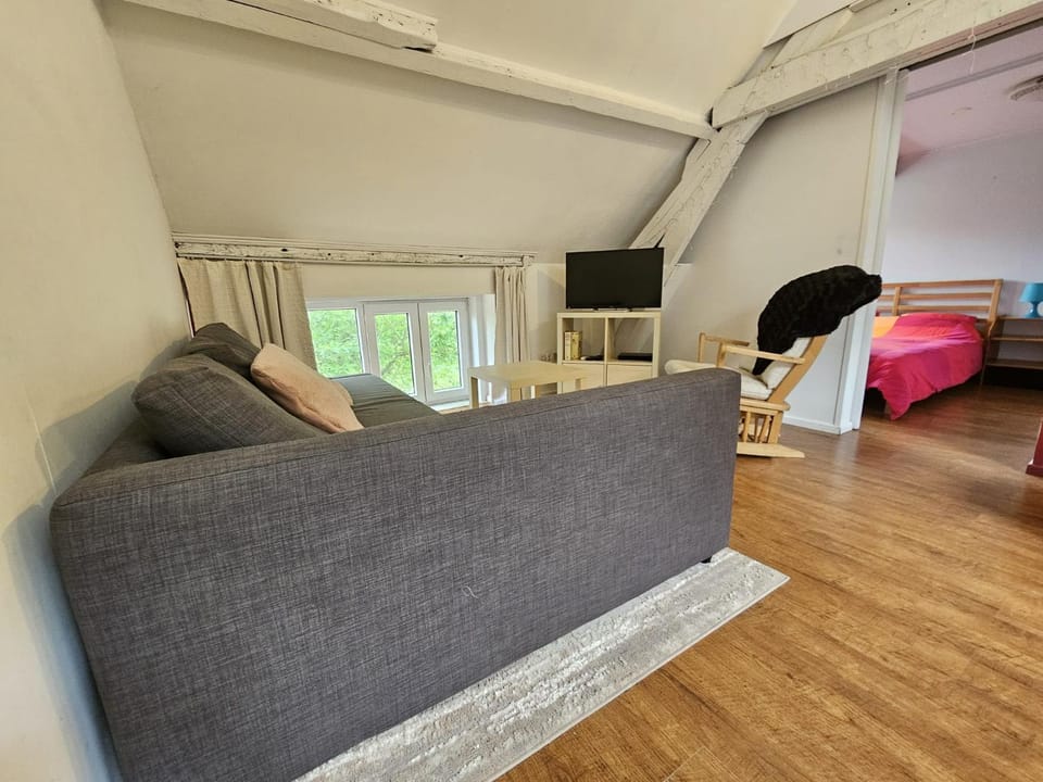 Bed, TV and multimedia, Living room, Seating area