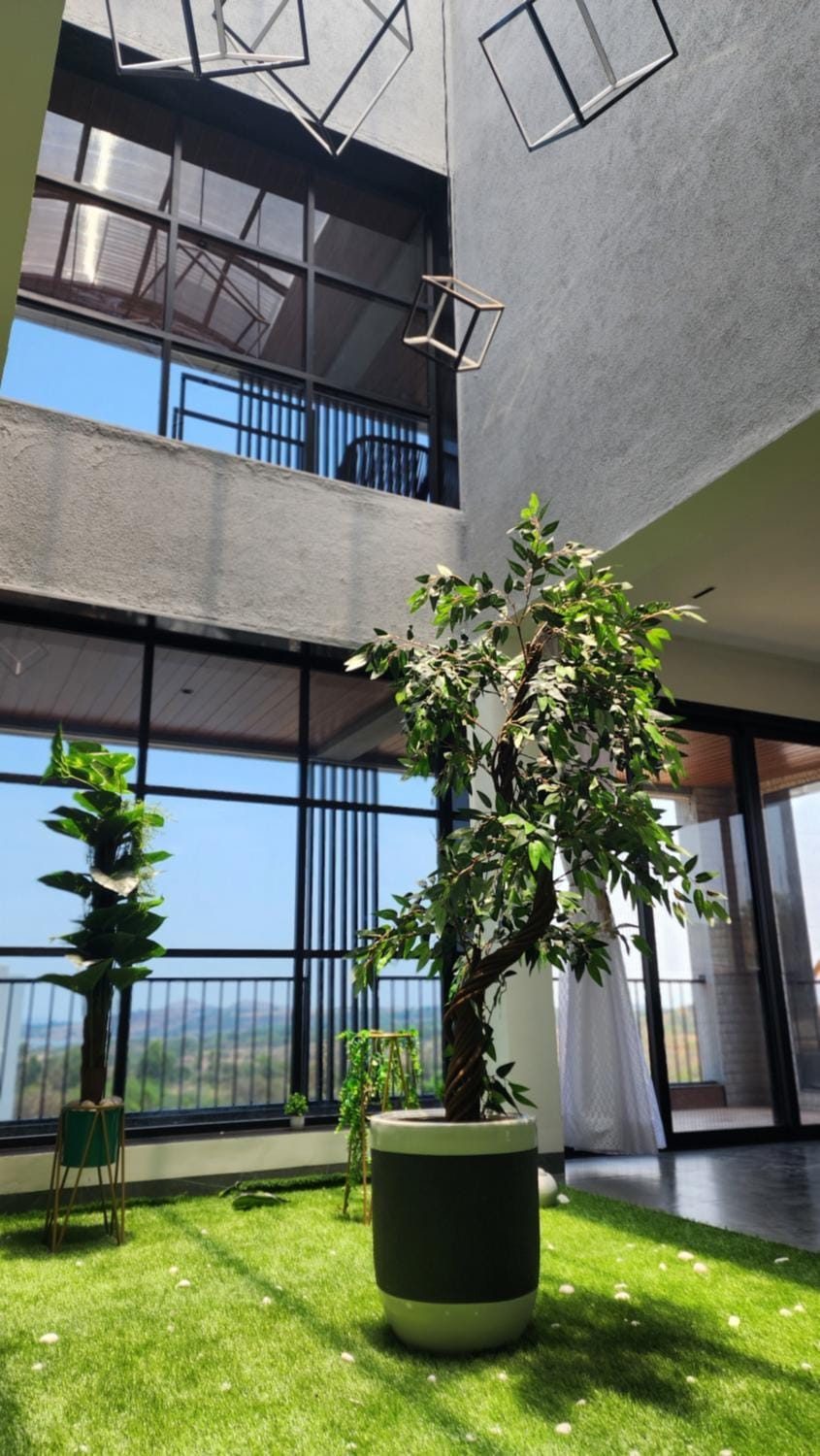 Patio, Day
