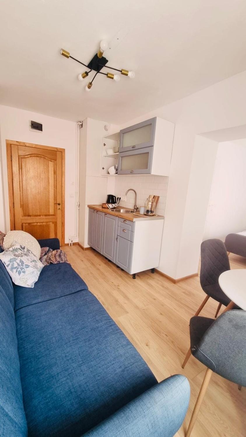 Bed, Kitchen or kitchenette, Living room, Photo of the whole room, Seating area, Dining area, minibar, stove